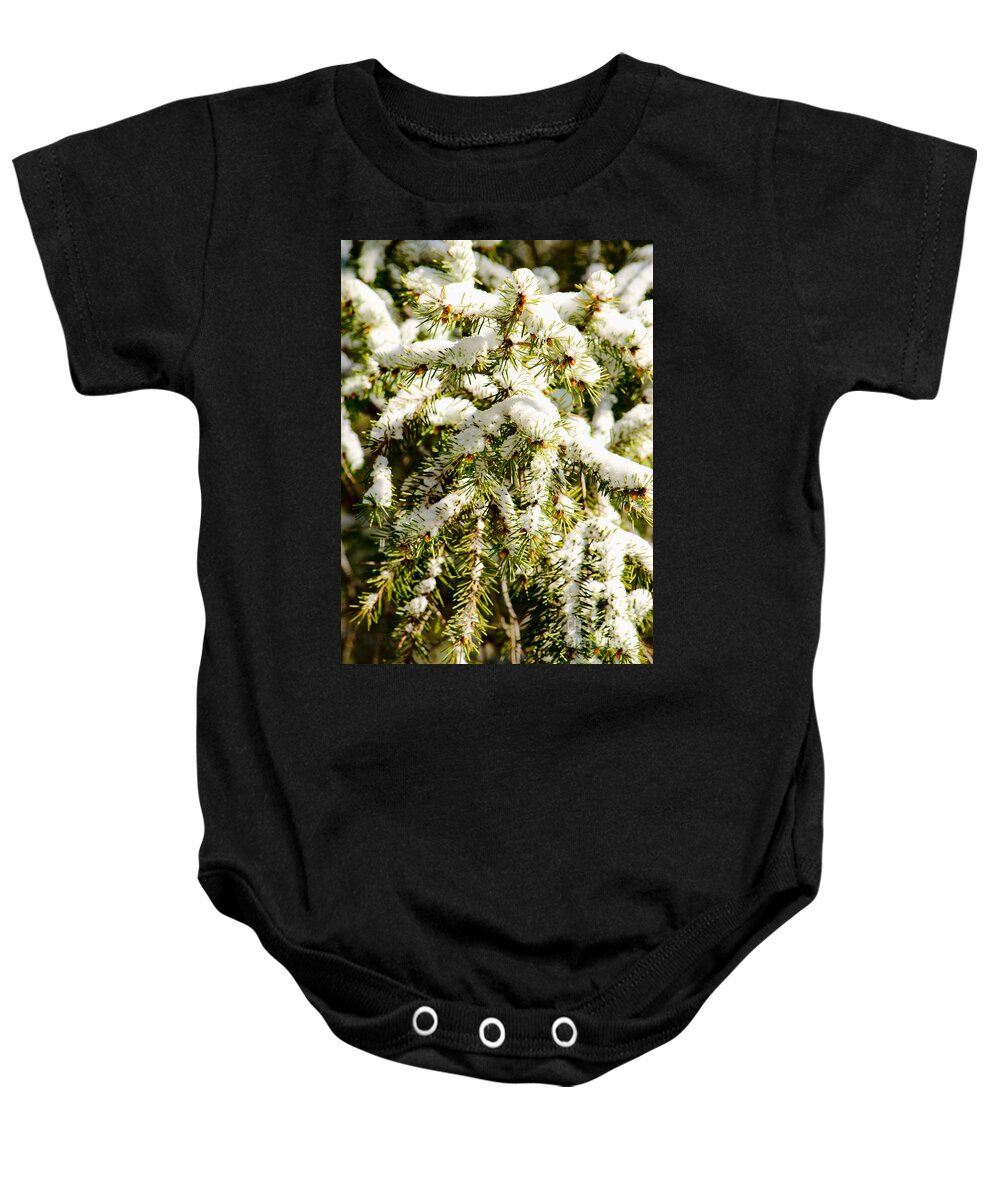 White Baby Onesie featuring the photograph Snowy Pines by Donna Greene