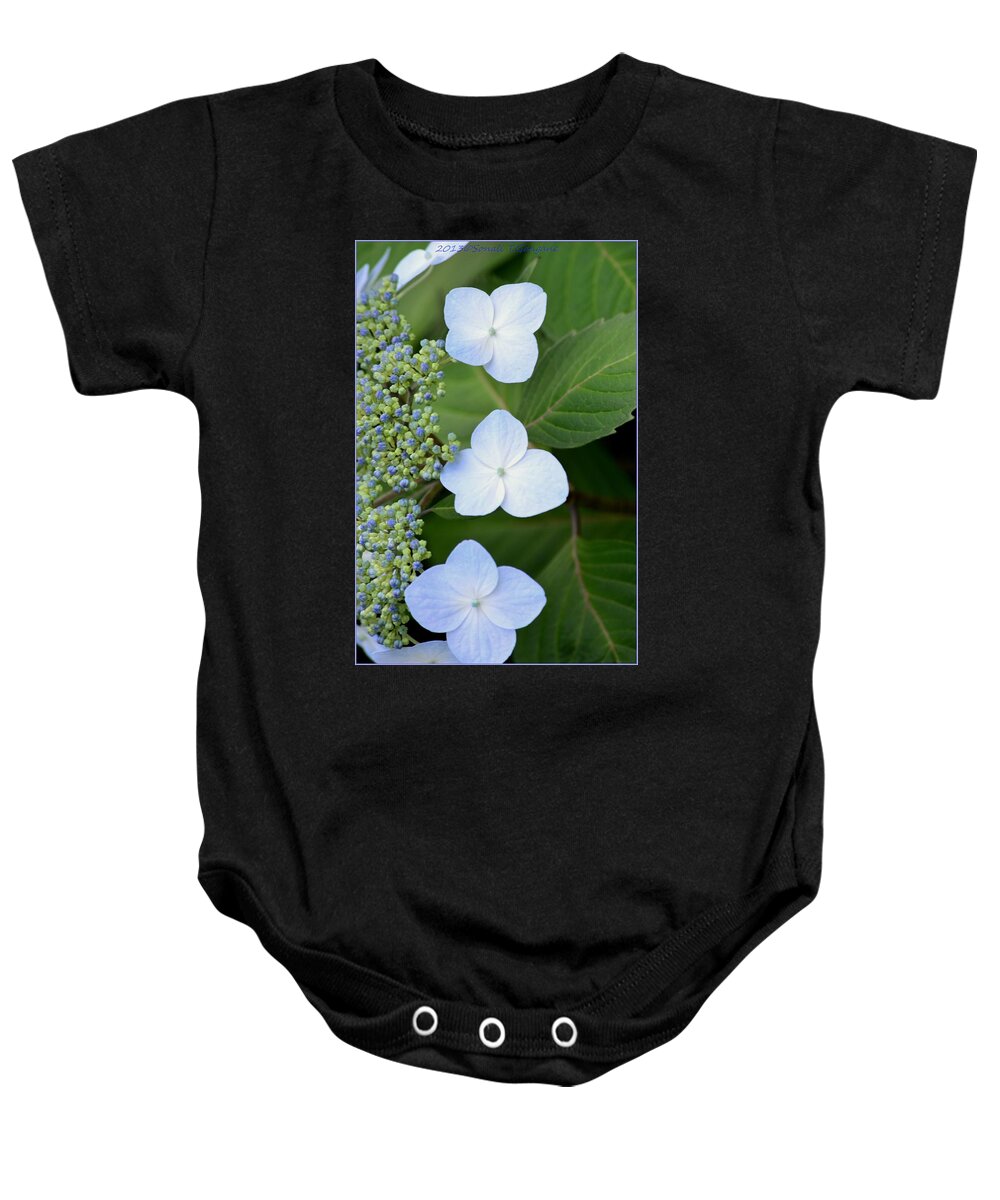 Hydrangea Baby Onesie featuring the photograph Soothing Blue by Sonali Gangane