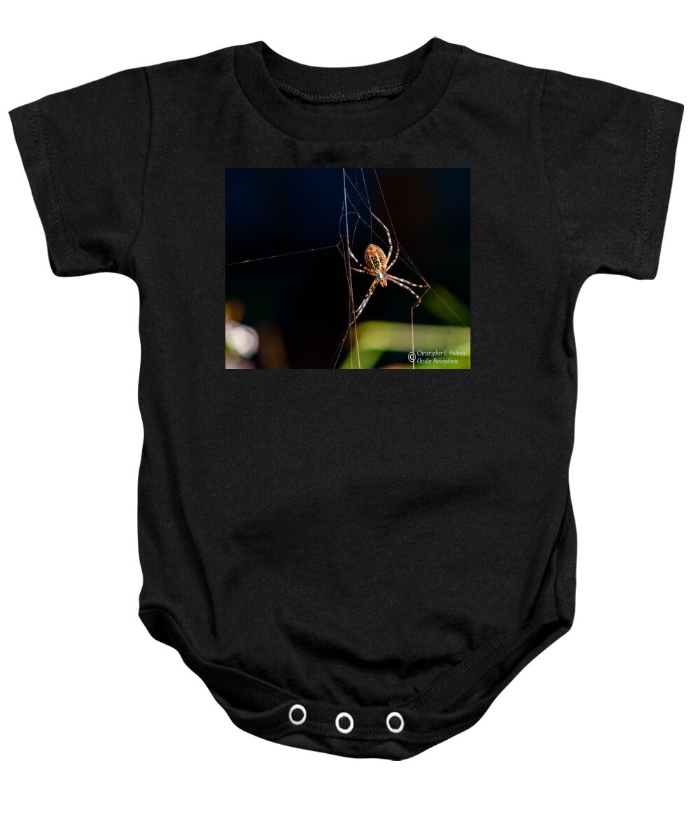 Spider Baby Onesie featuring the photograph Spider by Christopher Holmes