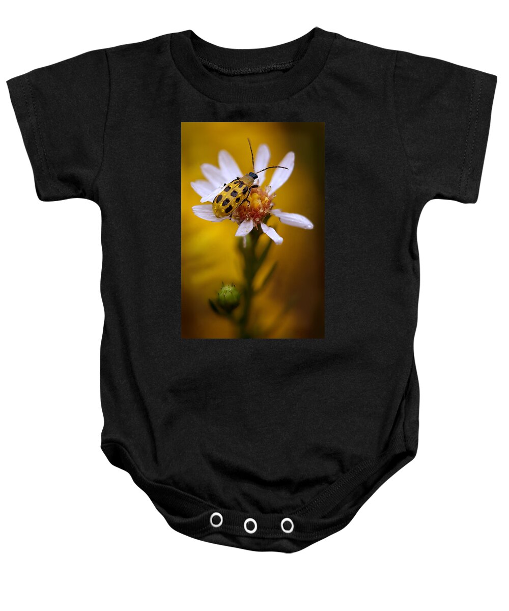 2012 Baby Onesie featuring the photograph Spotted Cucumber Beetle on a Wild Aster by Robert Charity