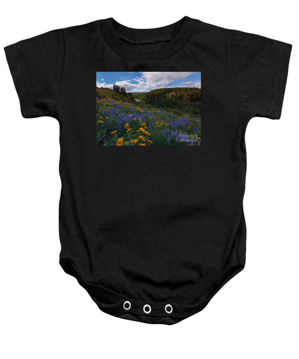 Yakima River Baby Onesie featuring the photograph Spring on the Yakima by Michael Dawson