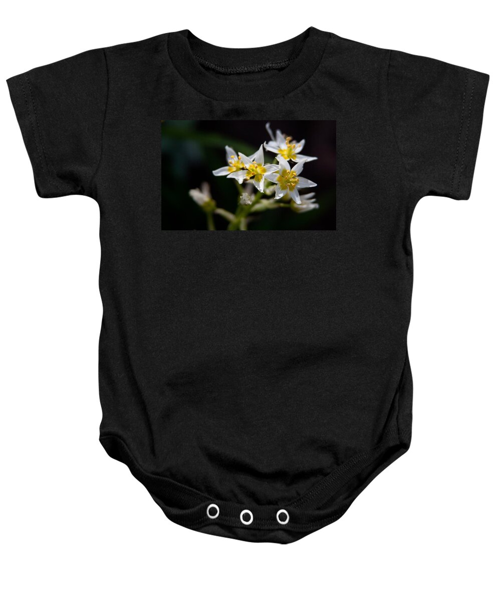 Wildflowers Baby Onesie featuring the photograph Stargazing by Vanessa Thomas