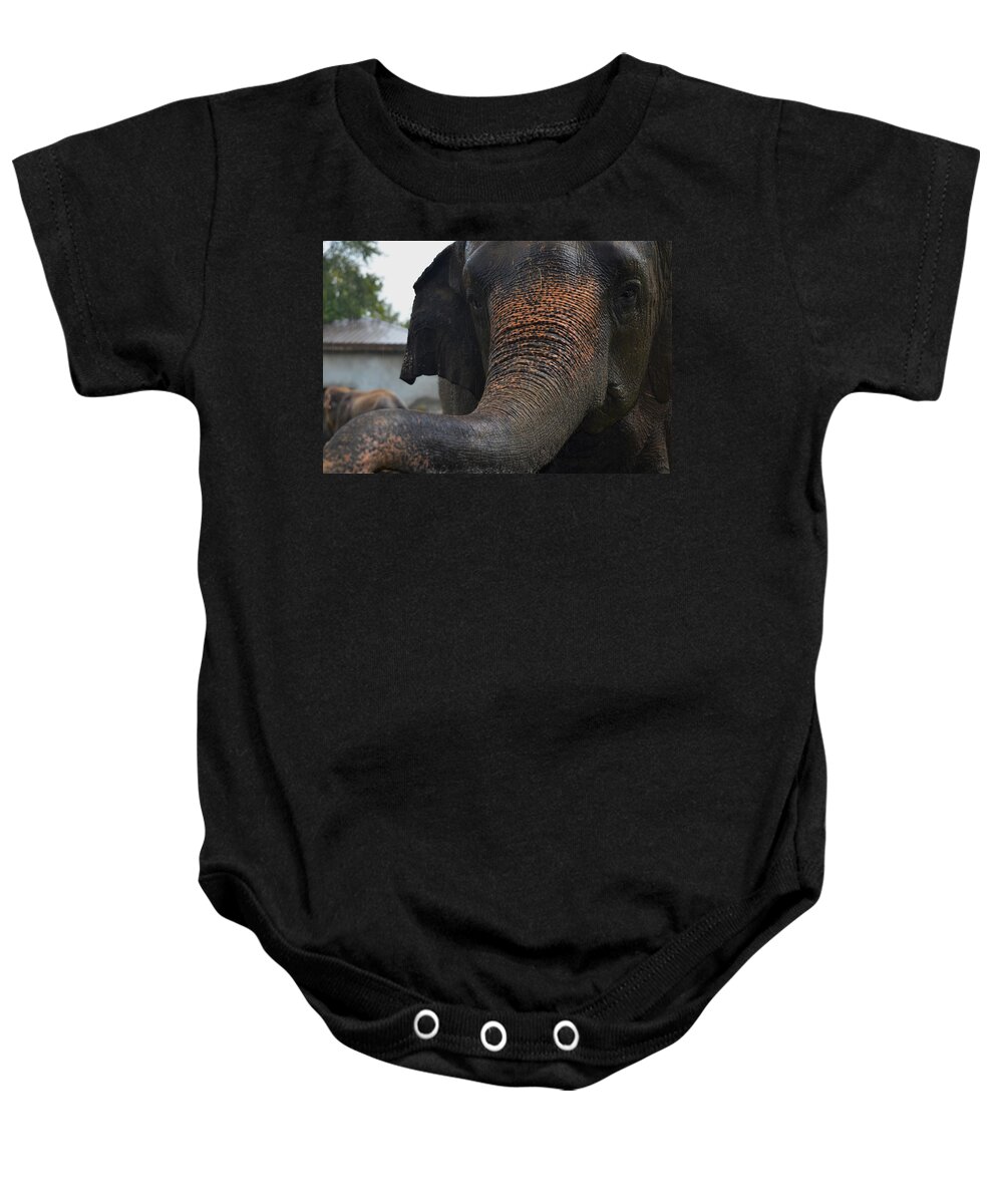 Elephant And Black Baby Onesie featuring the photograph Stretching Out by Maggy Marsh