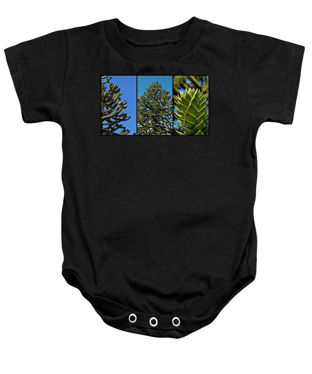 Monkey Baby Onesie featuring the photograph Study of the Monkey Puzzle Tree by Tikvah's Hope