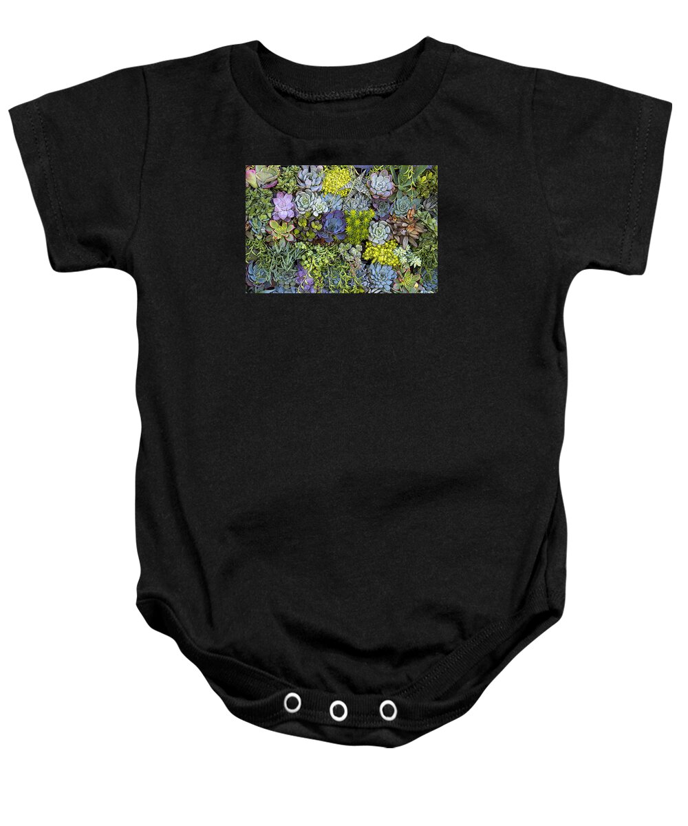 Succulent Baby Onesie featuring the photograph Succulent Wall by Andre Aleksis