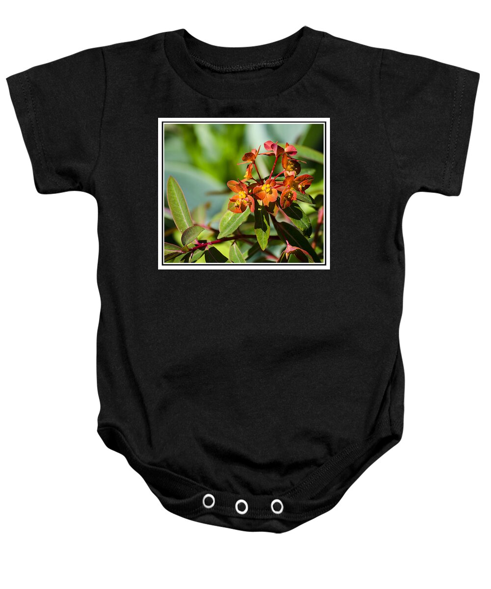 Green Baby Onesie featuring the photograph Summer Flower by Spikey Mouse Photography
