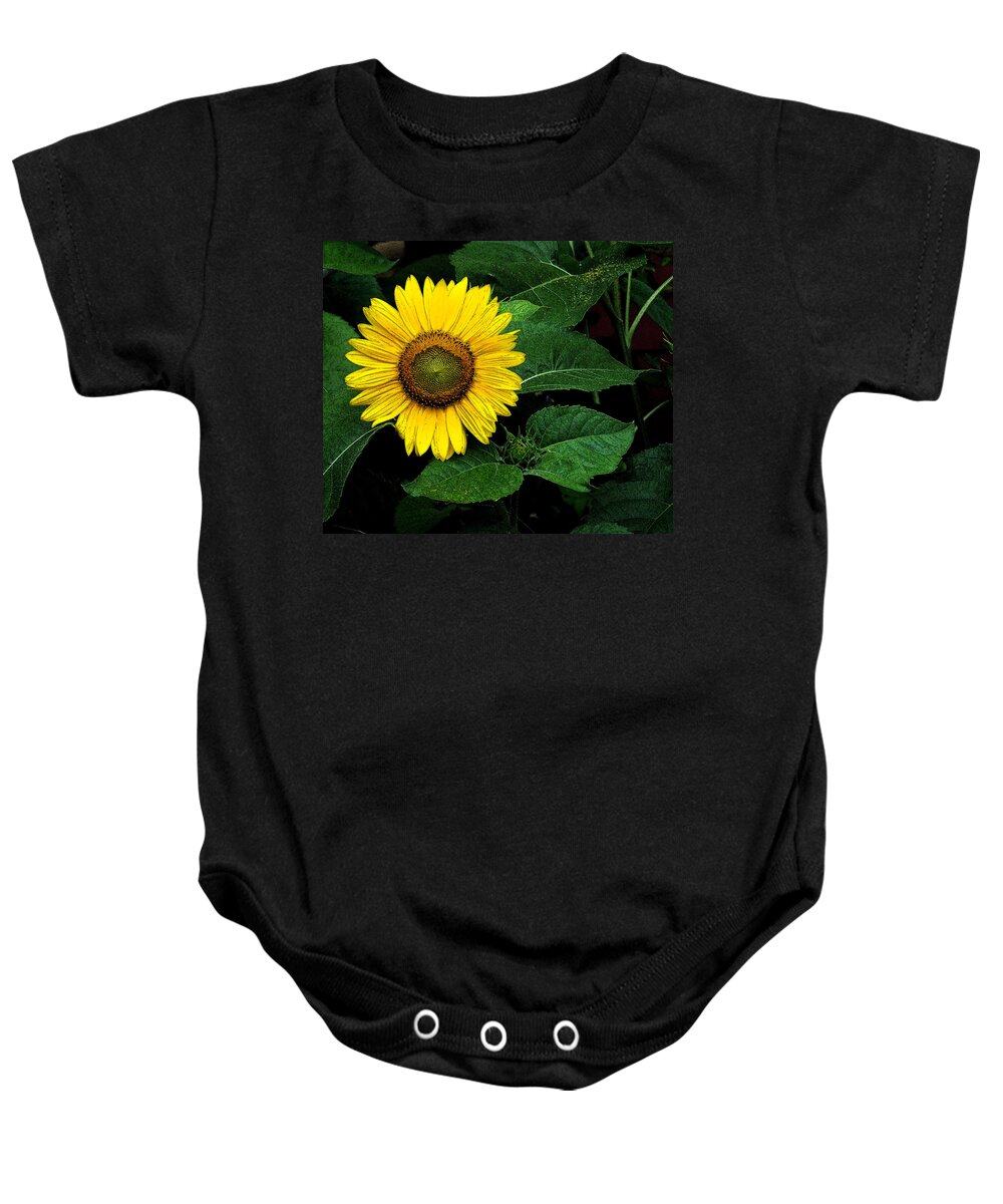 Sunflower Baby Onesie featuring the photograph Sunflower Art by Liz Mackney