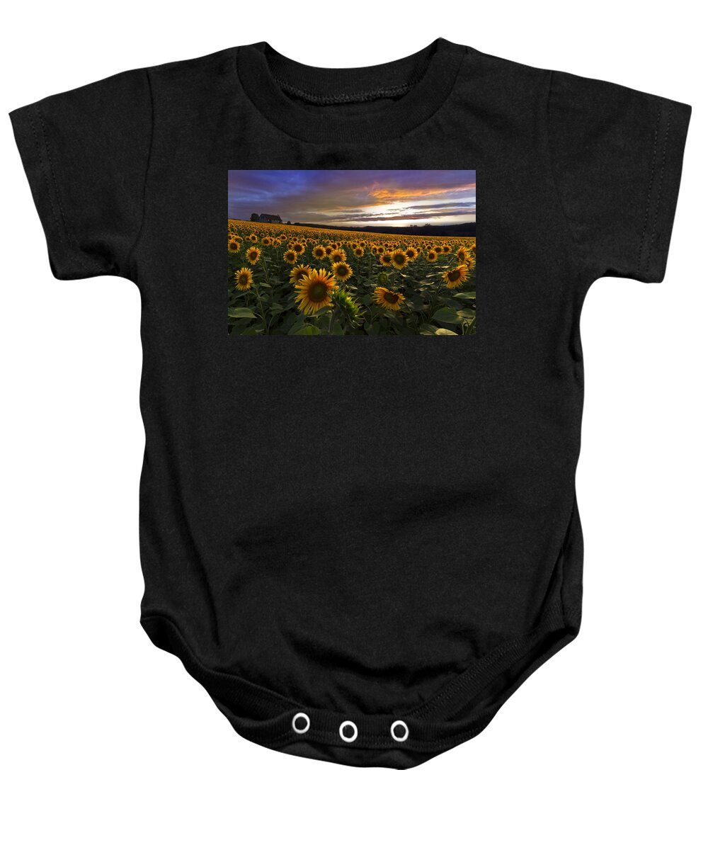 Austria Baby Onesie featuring the photograph Sunflower Sunset by Debra and Dave Vanderlaan
