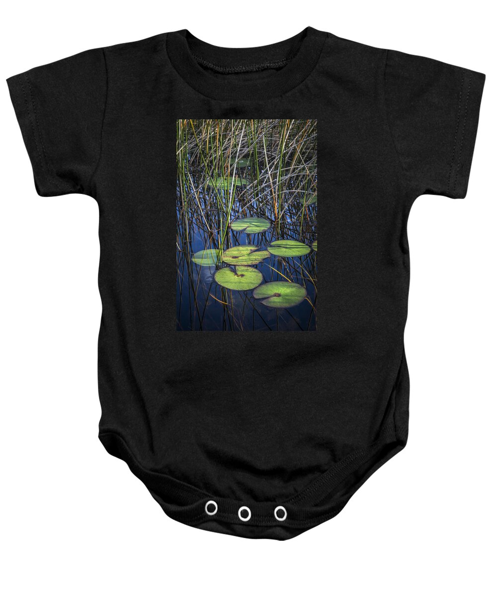 Clouds Baby Onesie featuring the photograph Sunlight on the LilyPads by Debra and Dave Vanderlaan