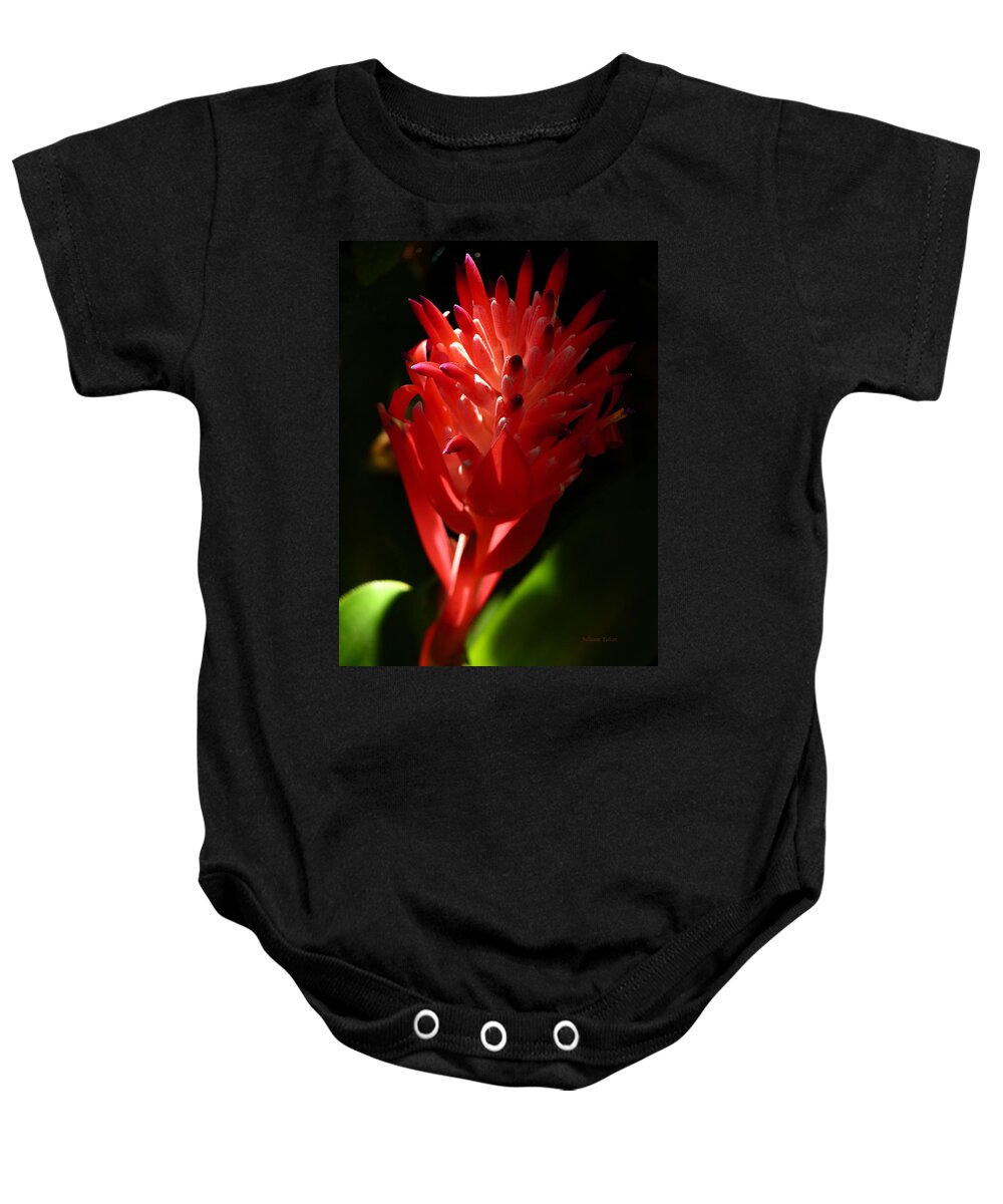 Art Baby Onesie featuring the photograph Sunlit Red Bromeliad 2 by Julianne Felton