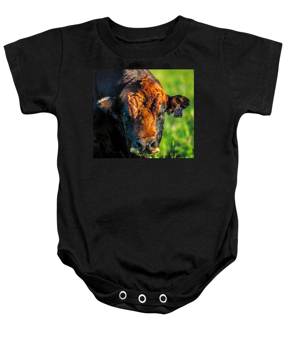 Animal Baby Onesie featuring the photograph Sunset On 806 by Paul Freidlund