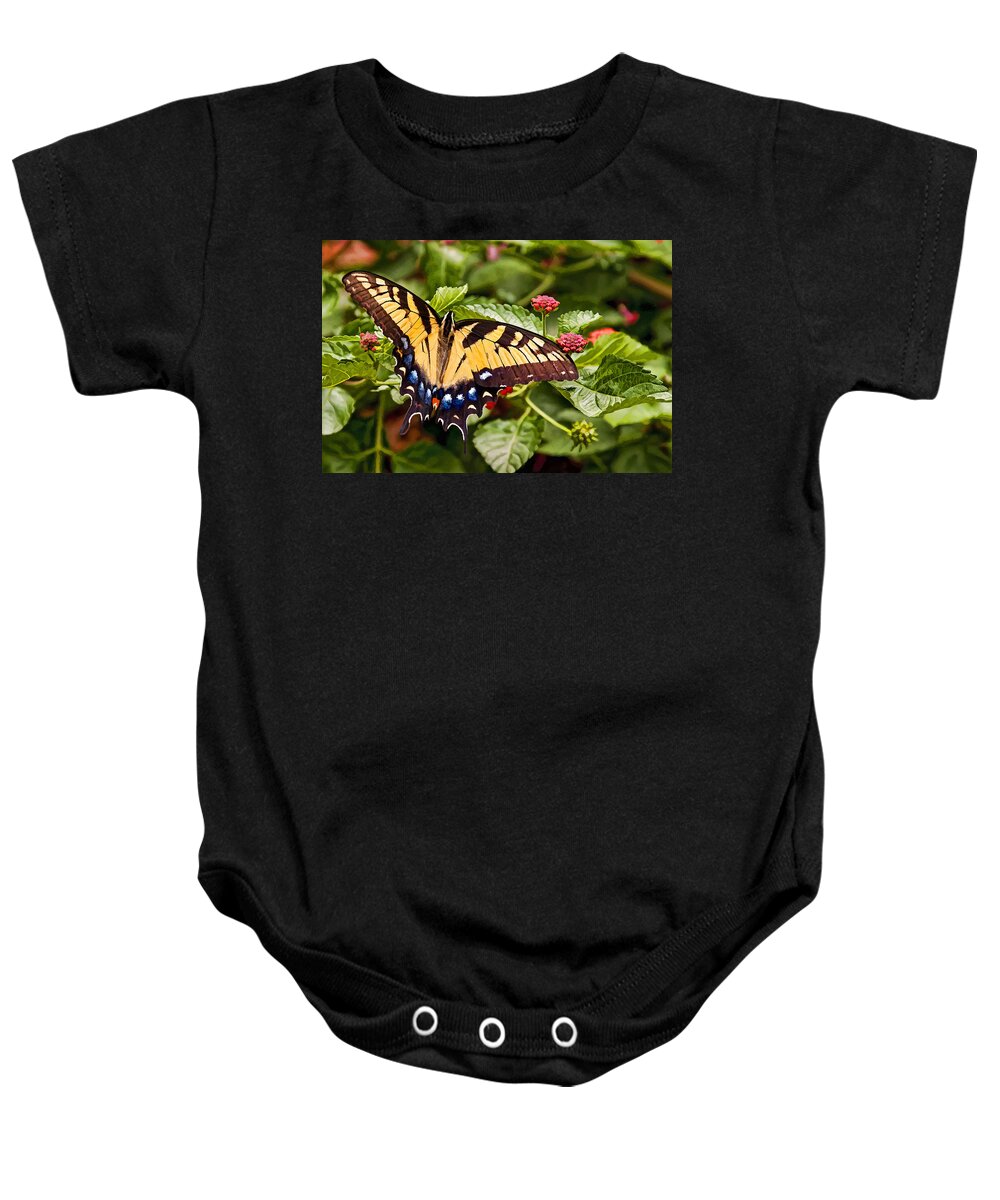 Animal Baby Onesie featuring the photograph Swallowtail Beauty by Penny Lisowski