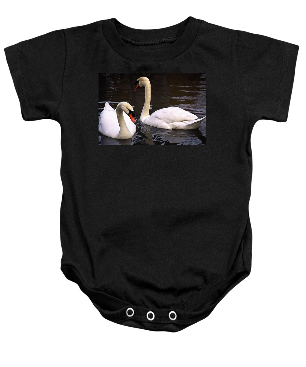 Birds Baby Onesie featuring the photograph Swans Two by Elf EVANS
