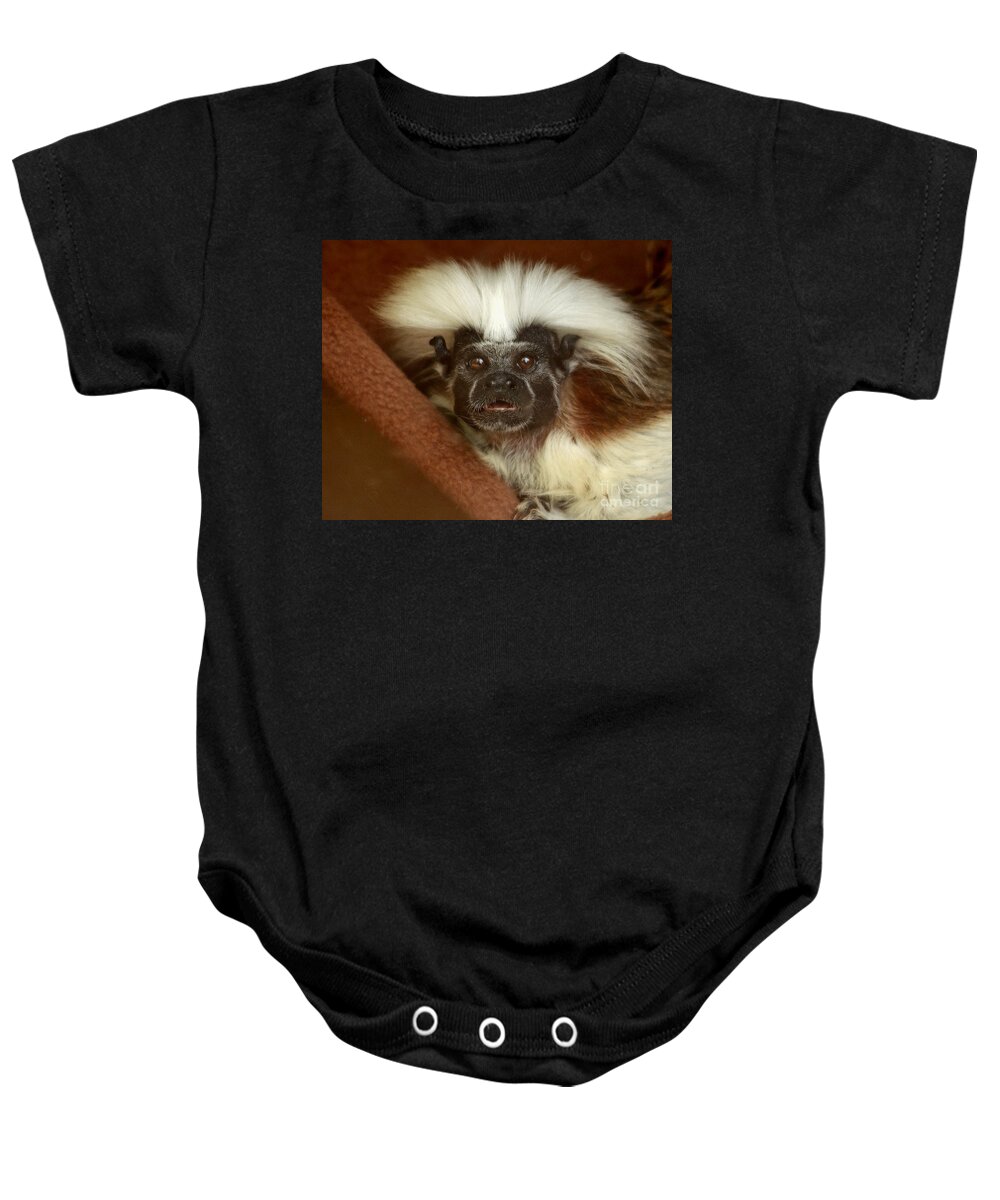 Animals Baby Onesie featuring the photograph Tamaron by Kathy Baccari