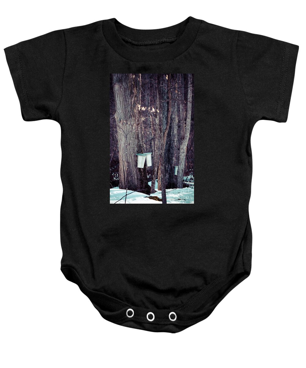 Landscape Baby Onesie featuring the photograph Tapped Maples by Cheryl Baxter