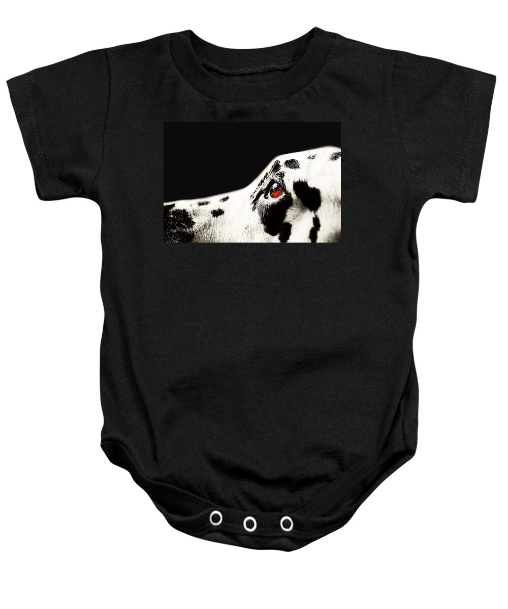 Dalmation Baby Onesie featuring the photograph The Amber Eye. Kokkie. Dalmatian Dog by Jenny Rainbow