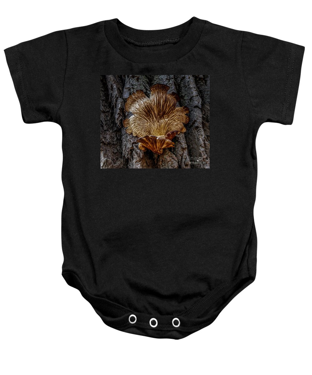 Fungus Baby Onesie featuring the photograph The Art of Nature by Ronald Grogan