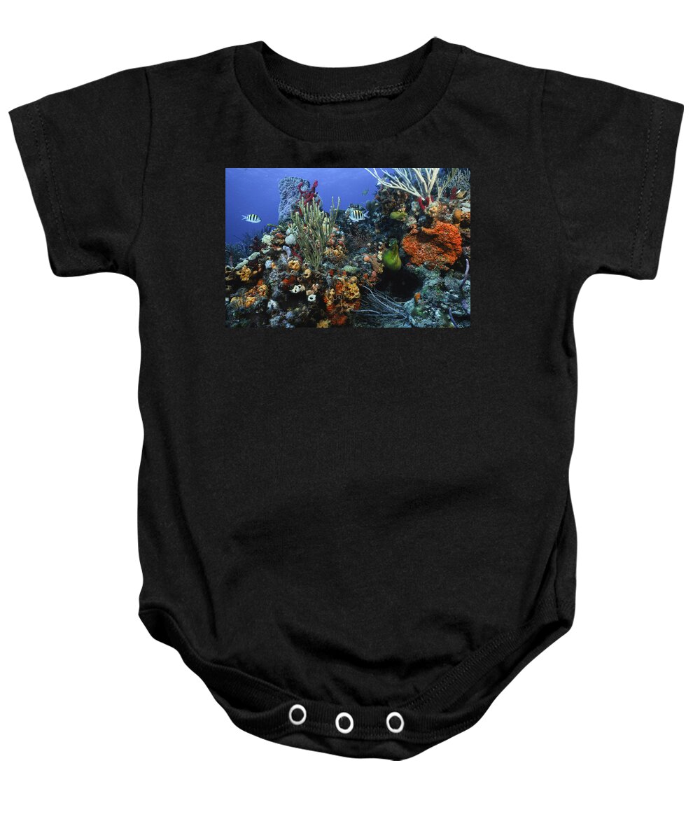 Scene Baby Onesie featuring the photograph The Busy Reef by Sandra Edwards
