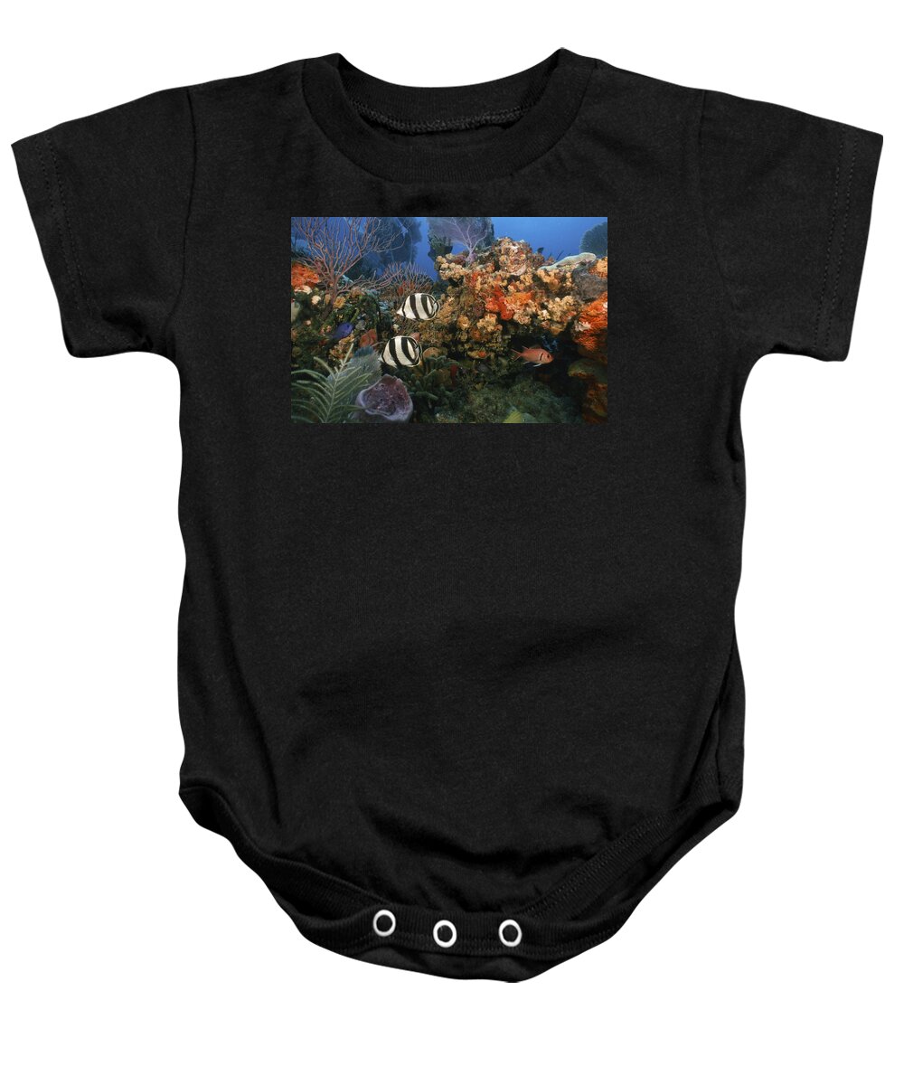 Angle Baby Onesie featuring the photograph The Butterflyfish on Reef by Sandra Edwards