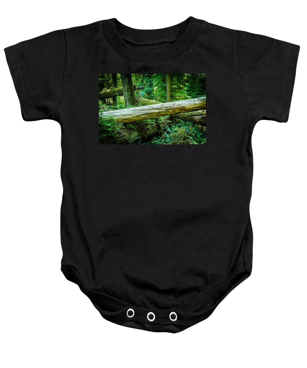 Old Growth Forest Baby Onesie featuring the photograph Support System Cathedral Grove by Roxy Hurtubise