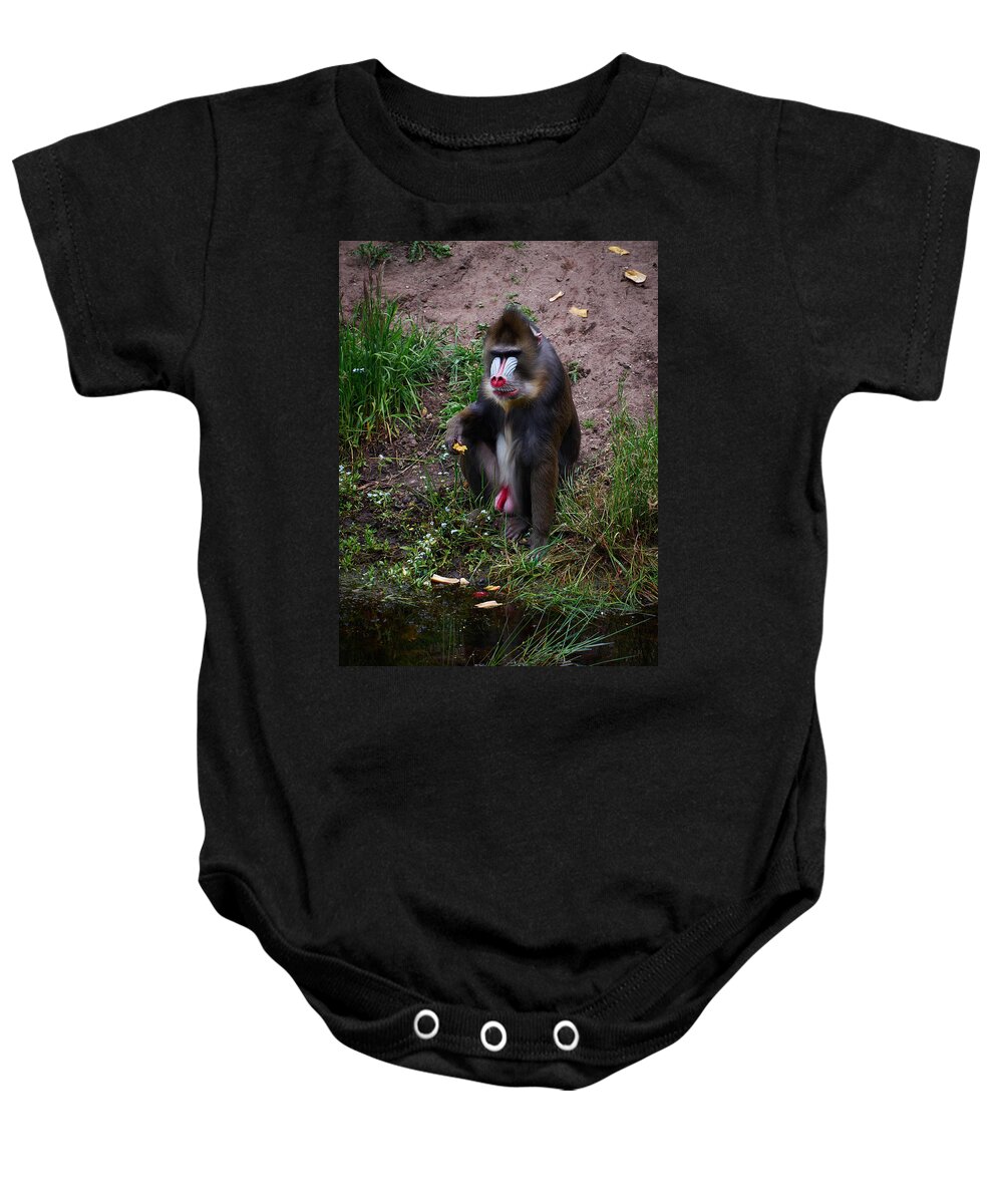 Alankomaat Baby Onesie featuring the photograph The Great Balls of Fire with Forget-me-nots by Jouko Lehto