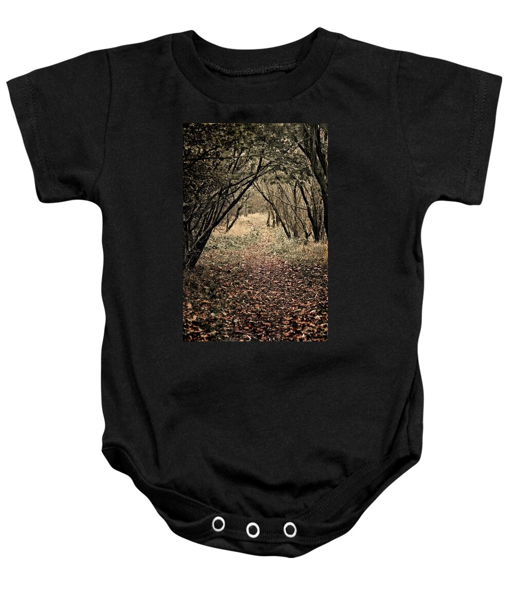 Footpath Baby Onesie featuring the photograph The Walk by Meirion Matthias