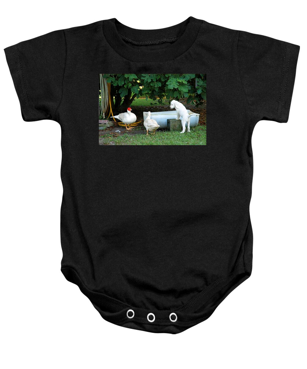 English Setter Baby Onesie featuring the photograph The Watering Hole by Scott Hansen
