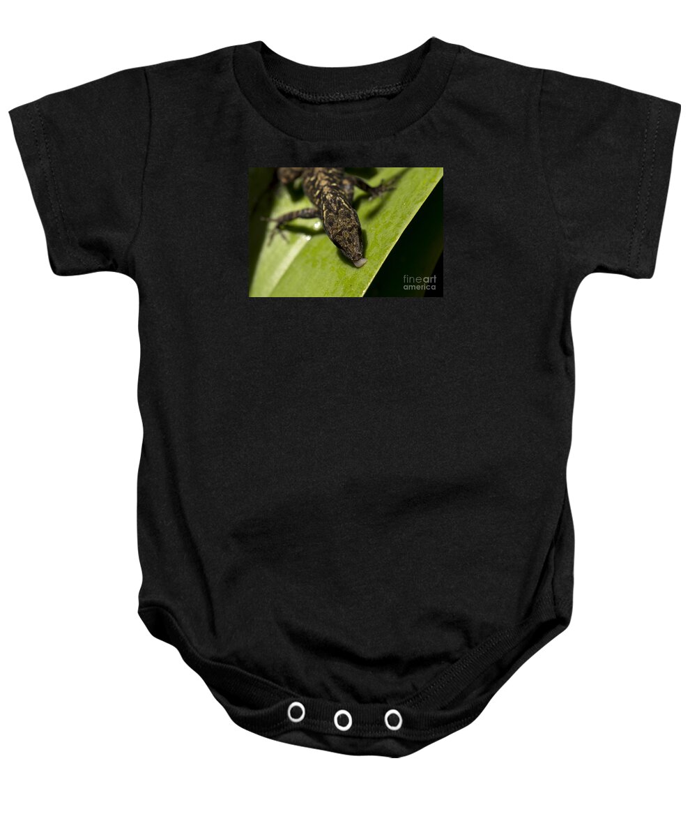Brown Anole Baby Onesie featuring the photograph Thirsty Brown Anole by Meg Rousher