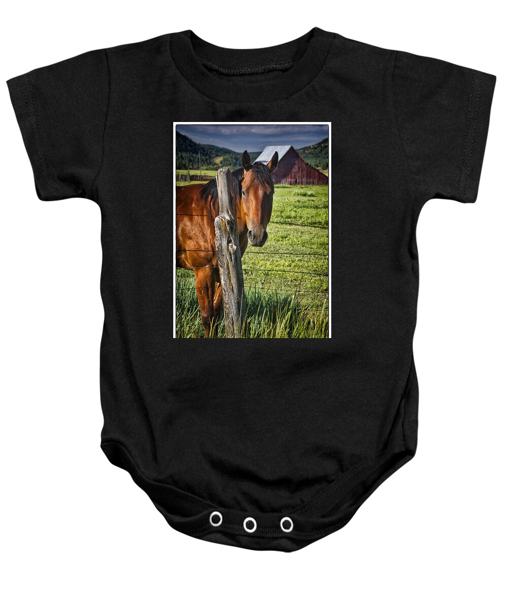 Horse Baby Onesie featuring the photograph Thompson Park Ranch Horse by Priscilla Burgers