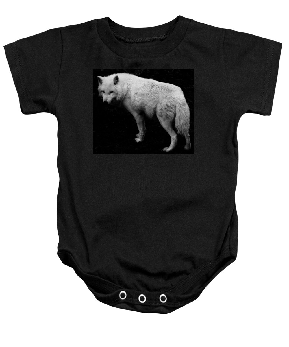 Timber Wolf Baby Onesie featuring the photograph Timber Wolf by J C