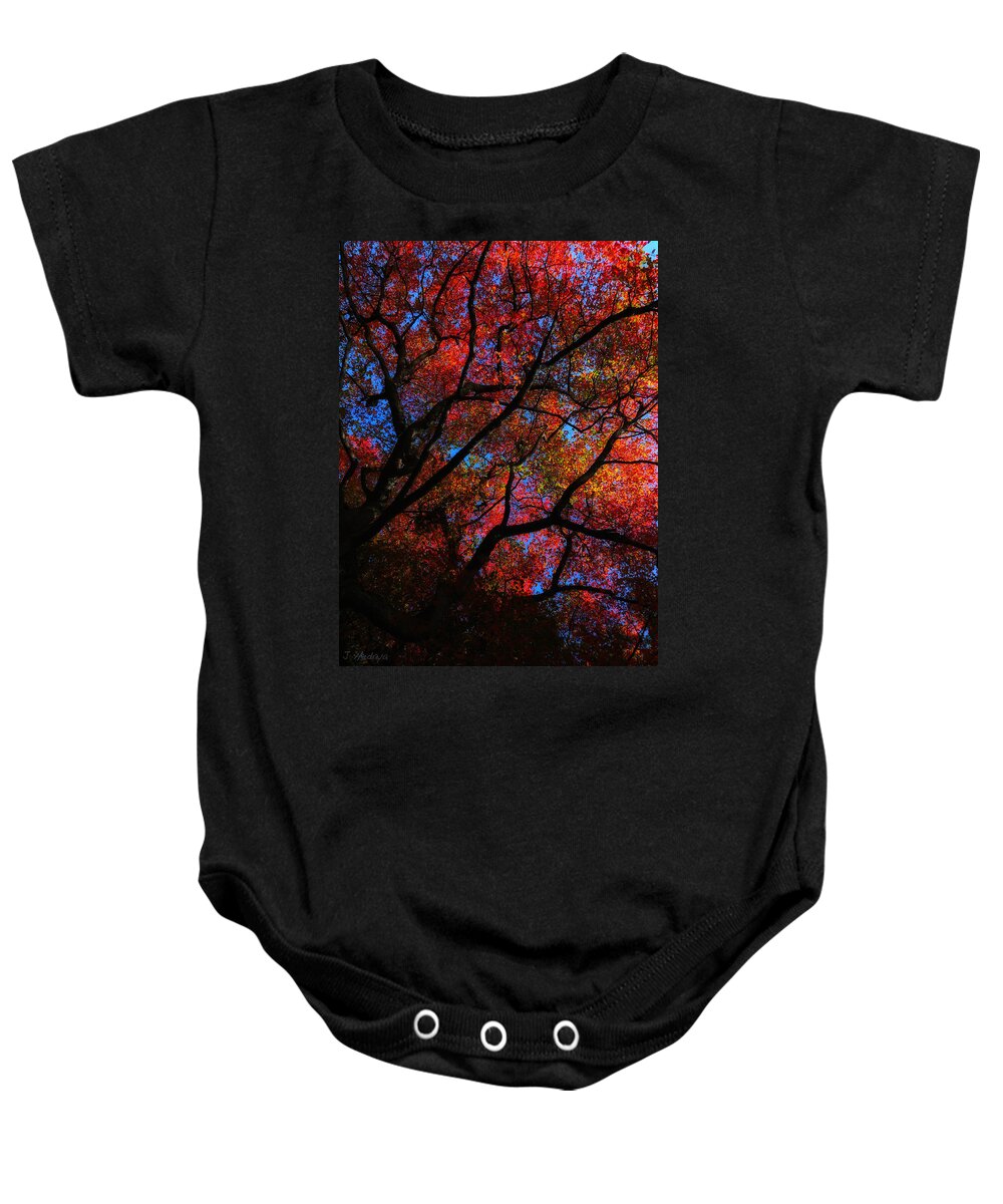 Tree Baby Onesie featuring the photograph Tree Color Blast by Joseph Hedaya