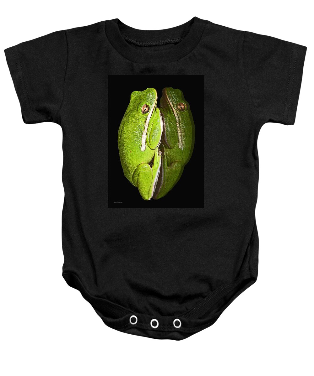 Tree Frog Canvas Print Baby Onesie featuring the photograph Tree Frog Reflection by Lucy VanSwearingen