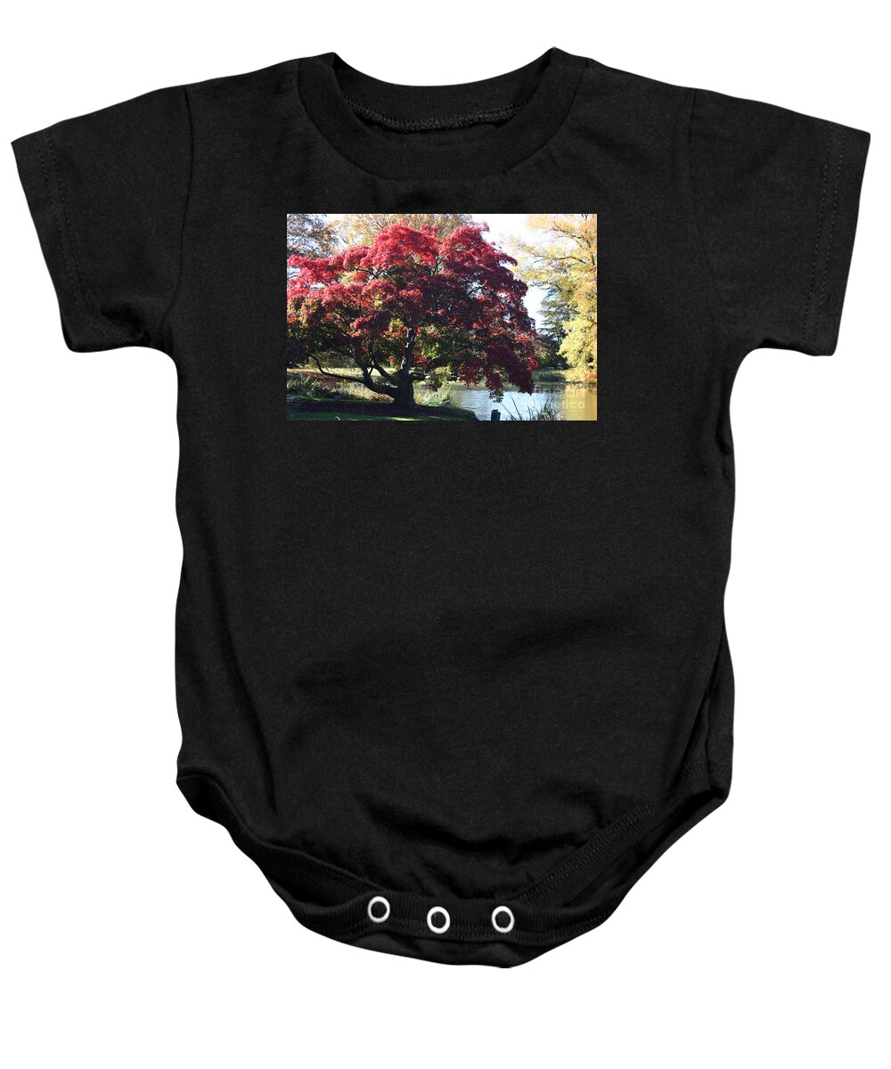 Tree Hanging Into Lake Baby Onesie featuring the photograph Tree Hanging into Lake by John Telfer