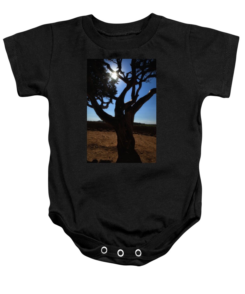 Tree Baby Onesie featuring the photograph Tree silhouette by Mike Santis
