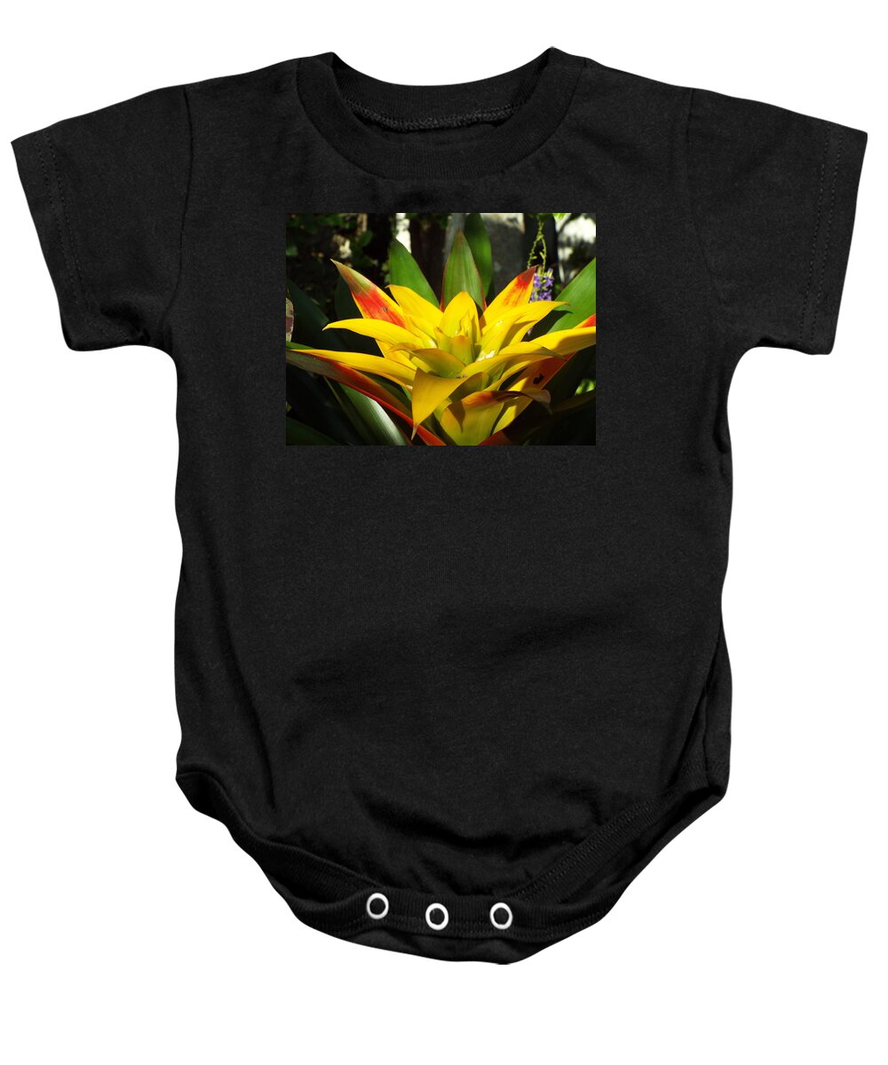 Yellow Baby Onesie featuring the photograph Tropical by Caryl J Bohn