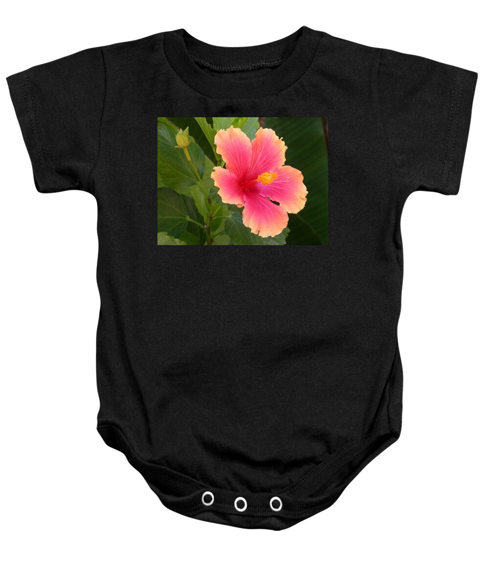 Hibiscus Baby Onesie featuring the photograph Tropical Hibiscus by Shane Bechler