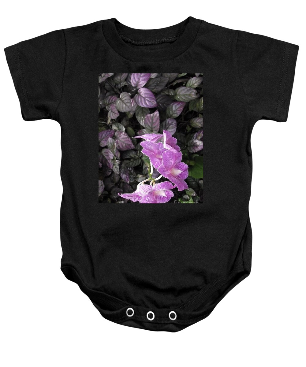 Orchids Baby Onesie featuring the photograph Tropical Orchids by Ellen Cotton