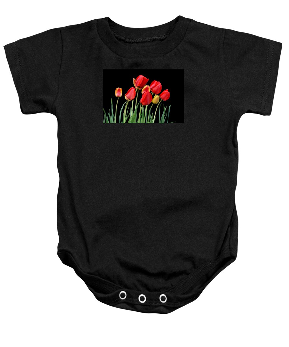 Tulips Baby Onesie featuring the photograph Tulip Band by Nikolyn McDonald