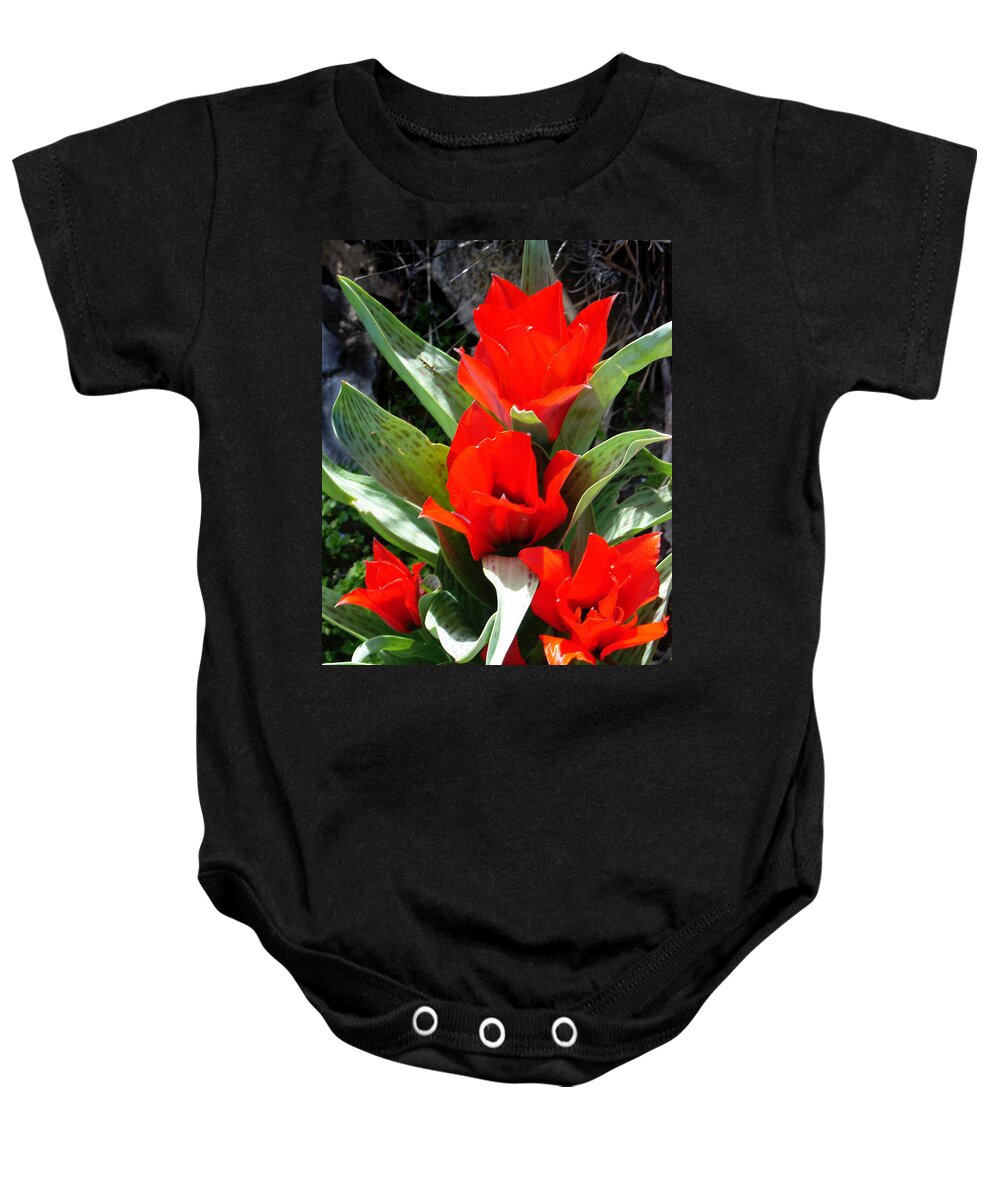 Tulips Baby Onesie featuring the photograph Tulip Flame by Steve Karol