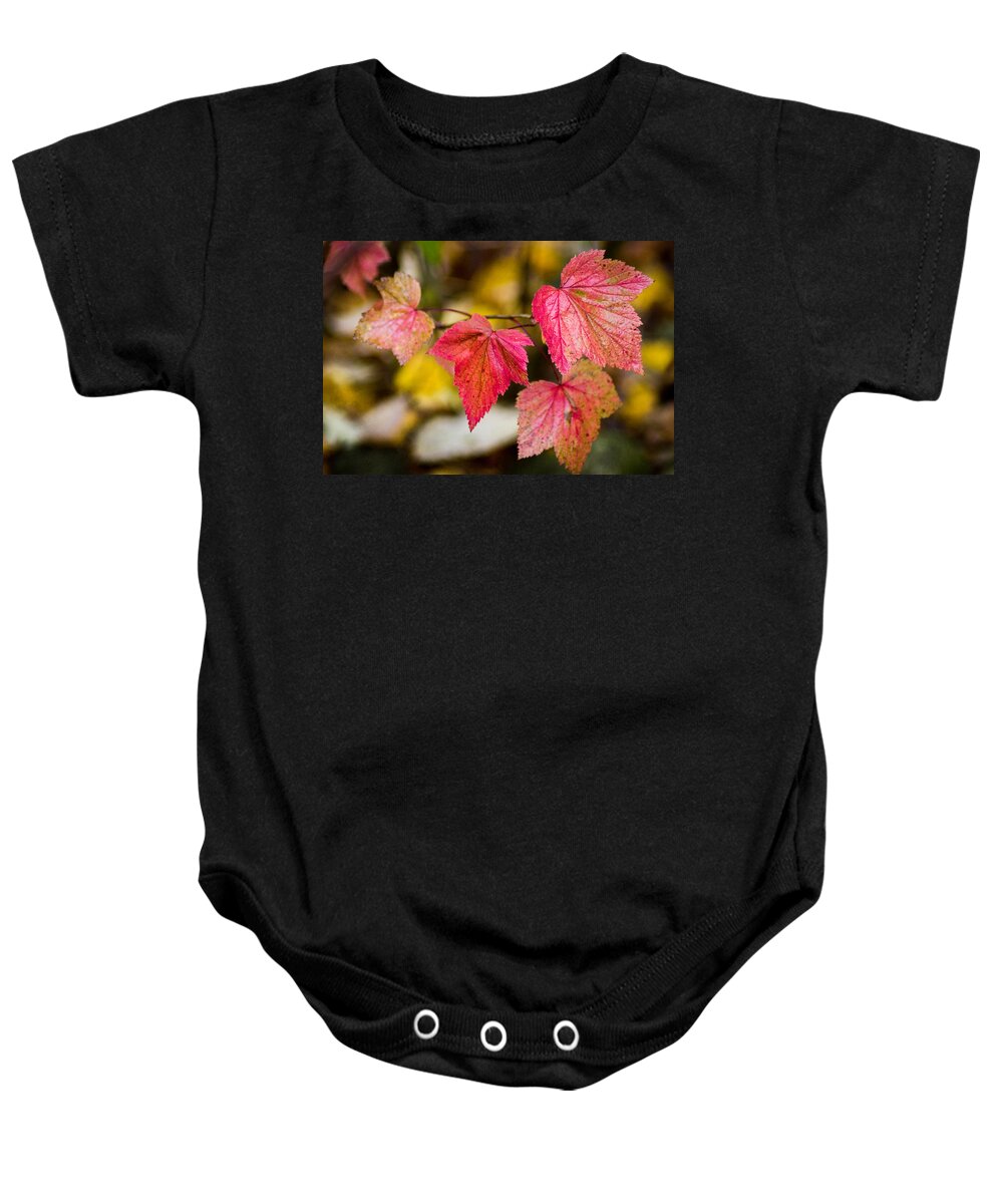 Fall Baby Onesie featuring the photograph Turning Red by Bill Pevlor