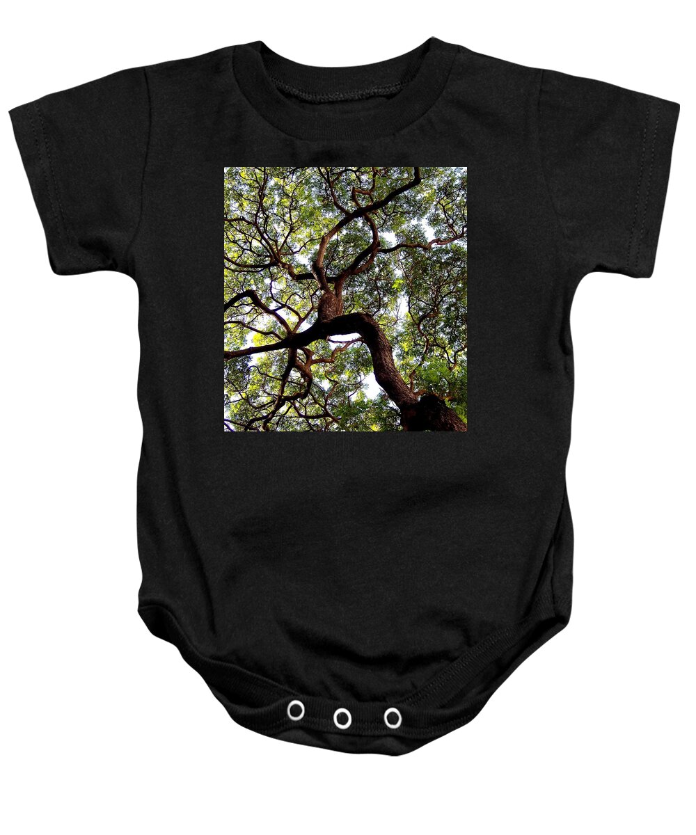 Trees Baby Onesie featuring the photograph VEINS of LIFE by Karen Wiles