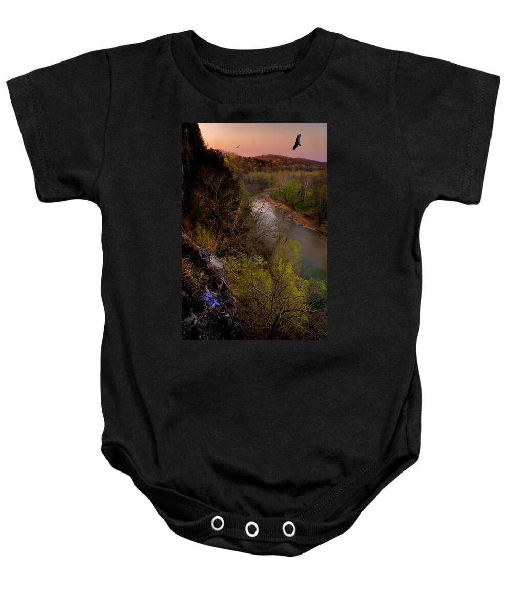 2011 Baby Onesie featuring the photograph Violet and Vultures by Robert Charity