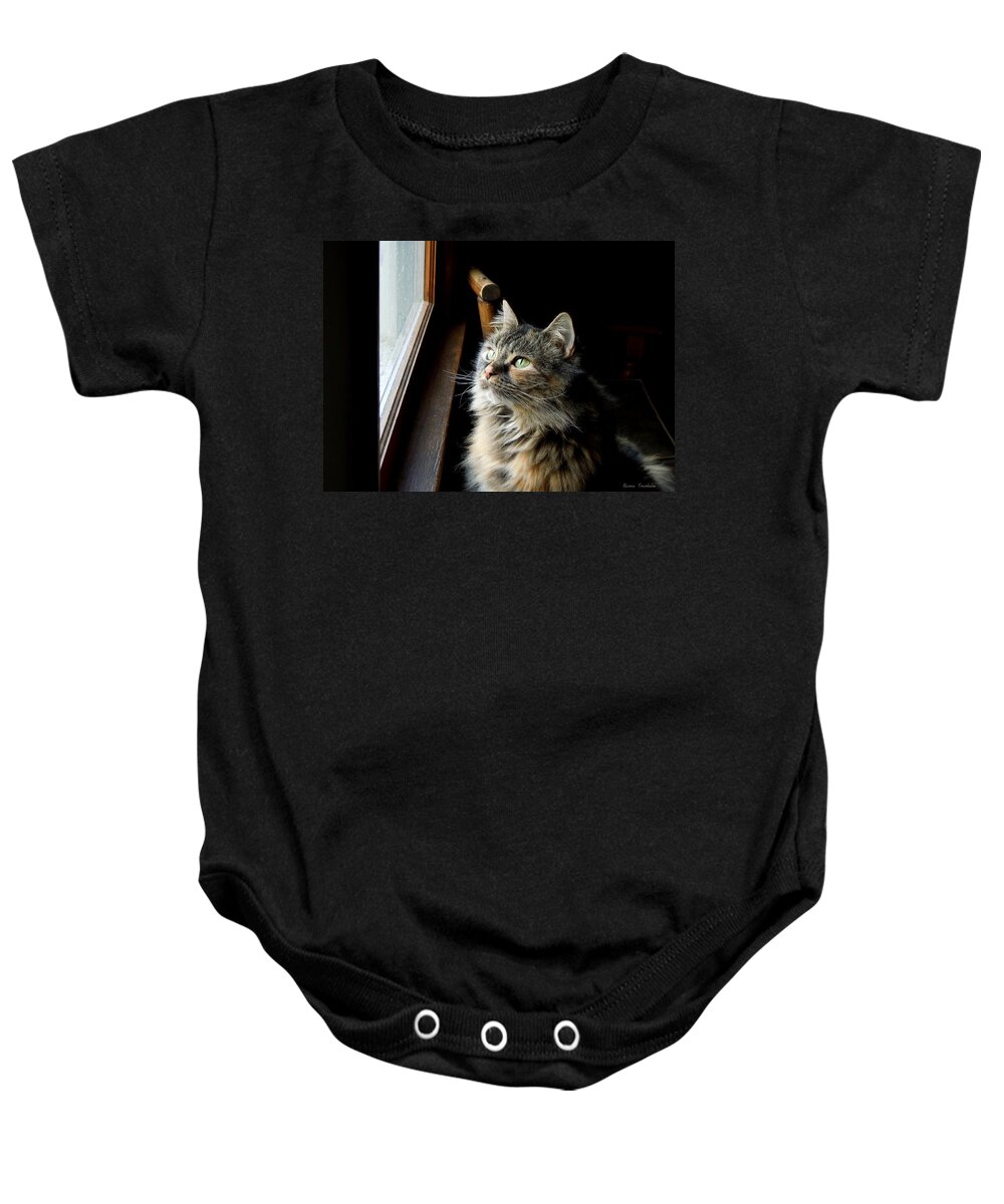 Cat Baby Onesie featuring the photograph Watching Snowflakes by Renee Trenholm