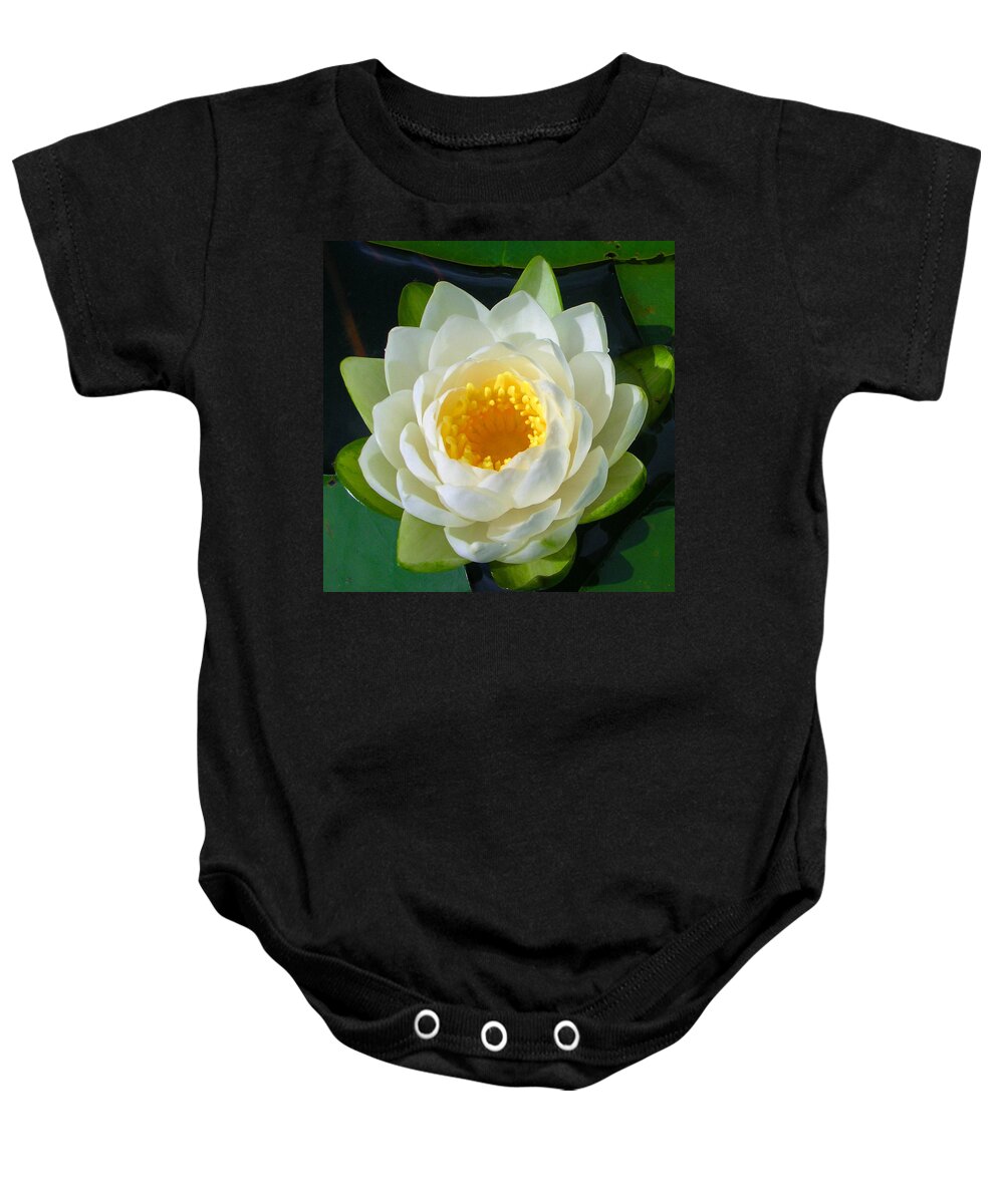 Flowers Baby Onesie featuring the photograph Water Lily by Guy Whiteley
