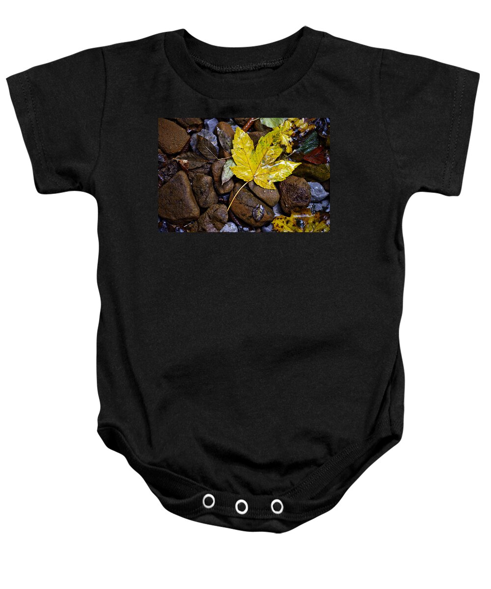 Nature Baby Onesie featuring the photograph Wet autumn leaf on stones by Ivan Slosar