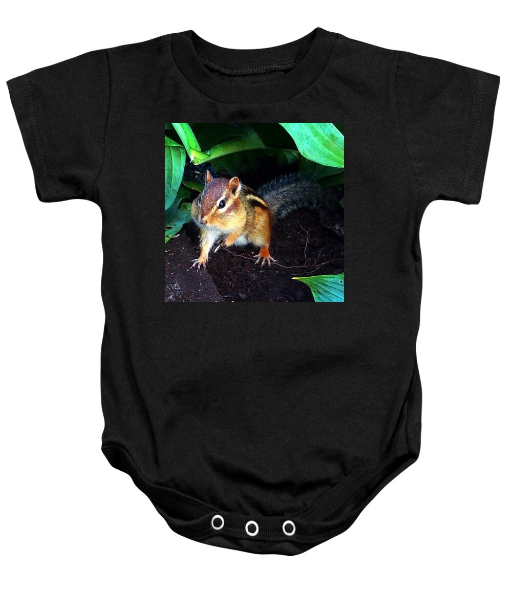 Squirrel Baby Onesie featuring the photograph What Are You Looking At by Sharon Duguay