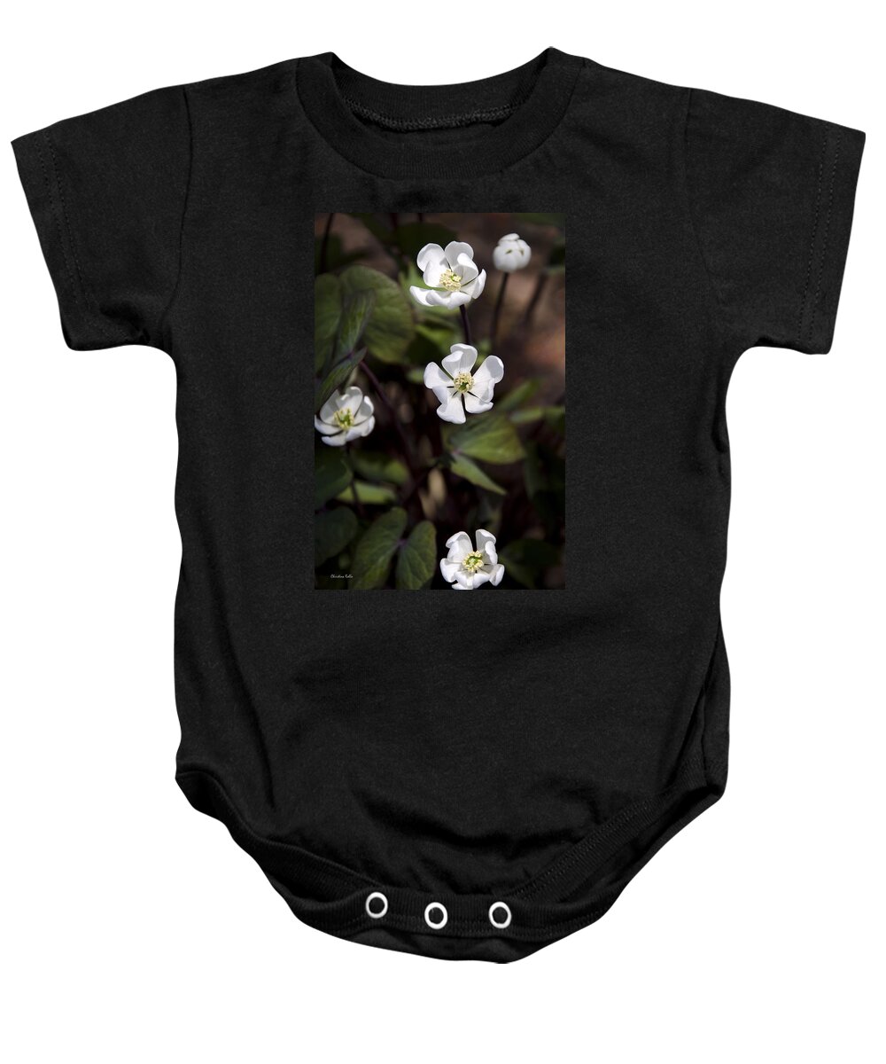 Flower Baby Onesie featuring the photograph White Anemone Flowers by Christina Rollo