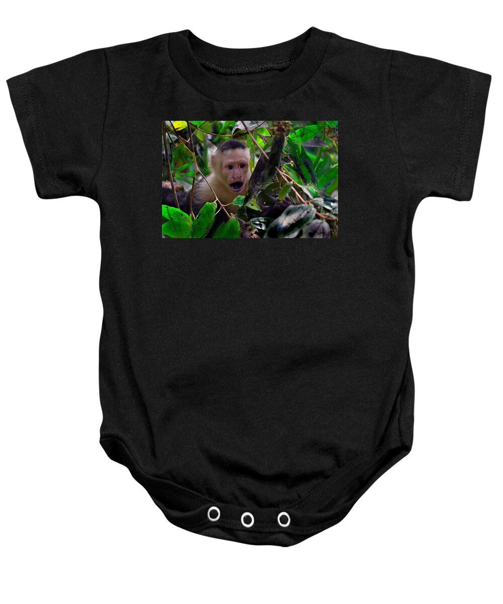 Wildlife Baby Onesie featuring the photograph White-faced Capuchin Monkey by Gary Keesler