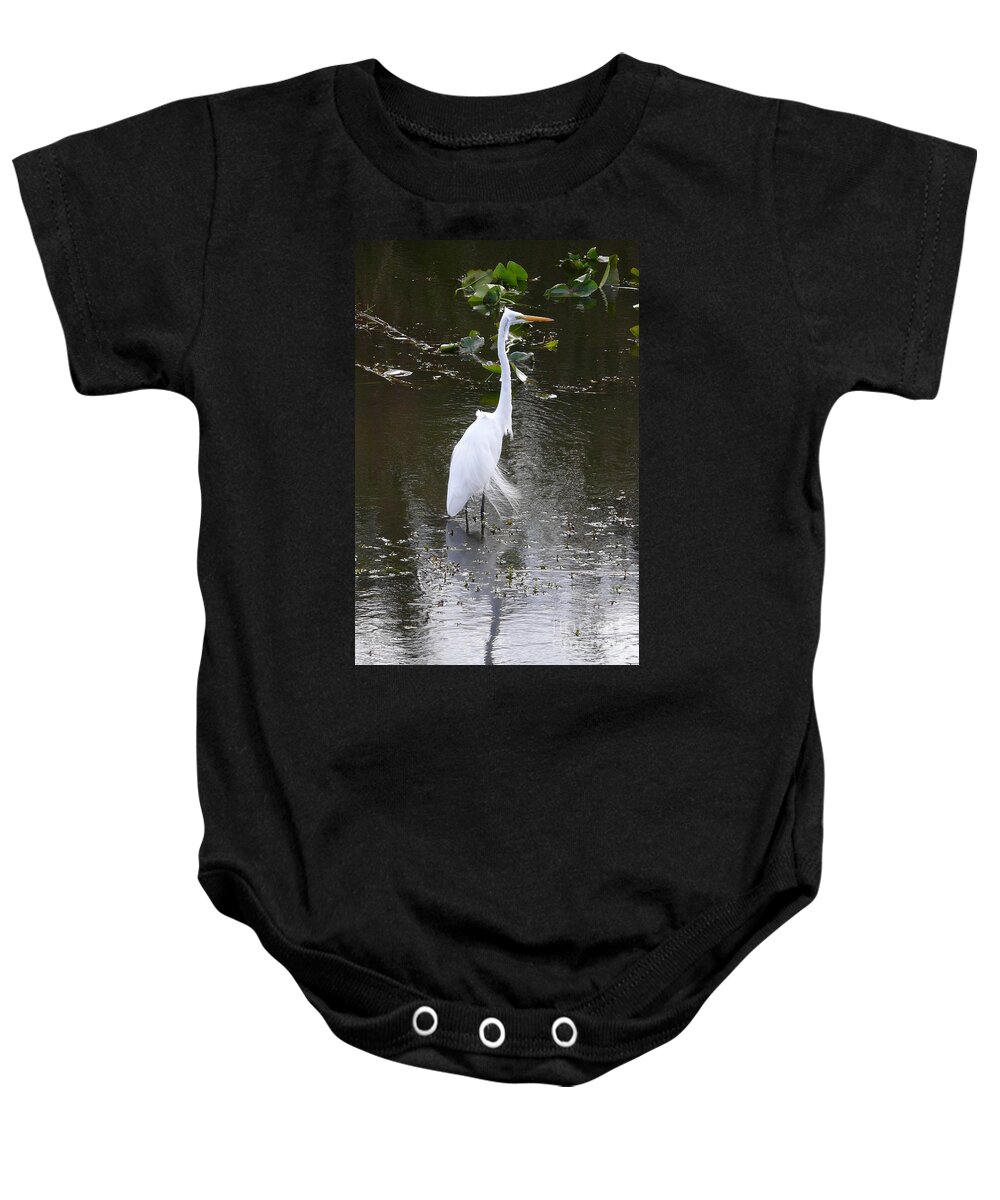 Wildlife Baby Onesie featuring the photograph White Heron by Amanda Mohler