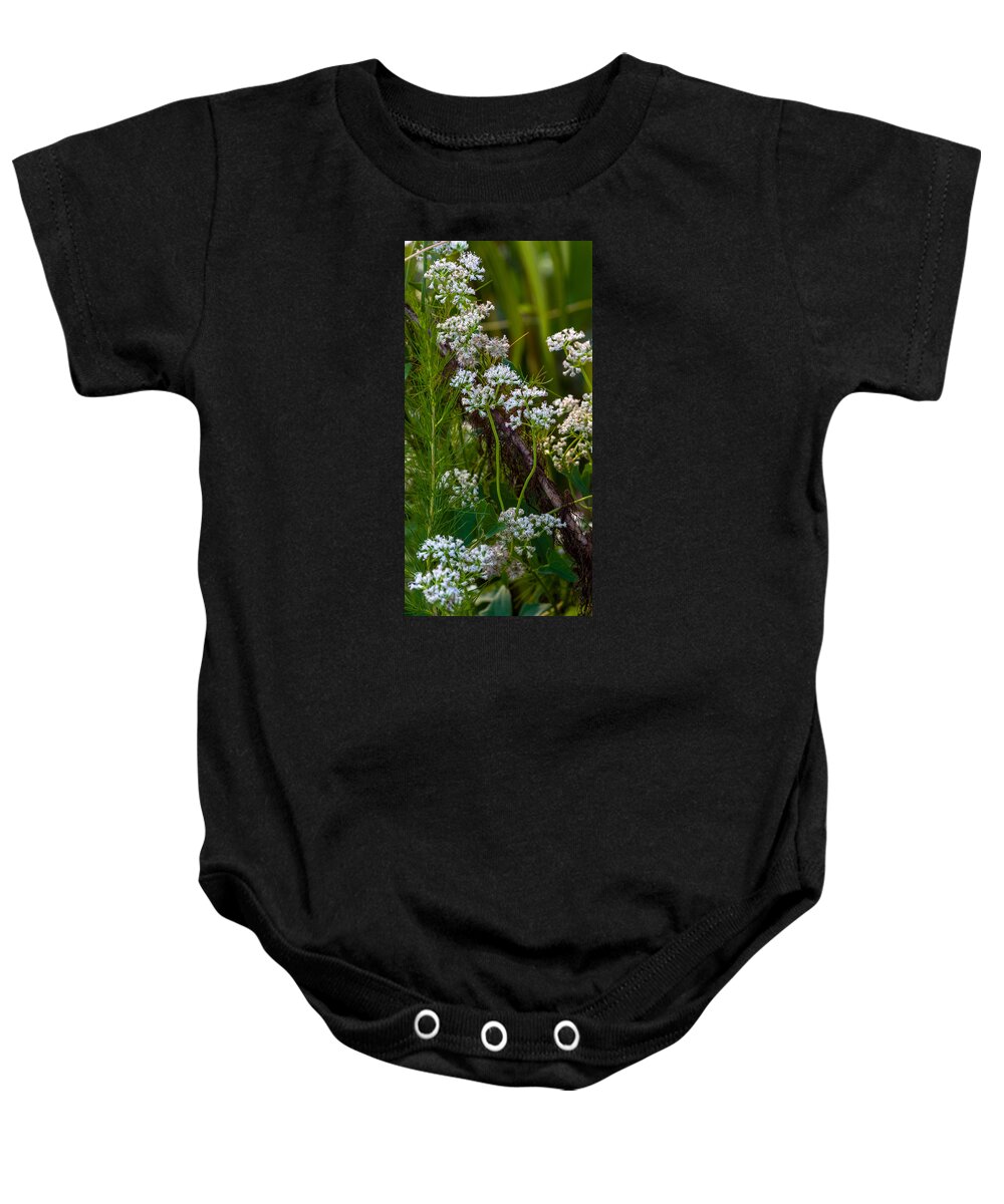 Wild Flowers Baby Onesie featuring the photograph White Wildflowers on a Branch by Ed Gleichman